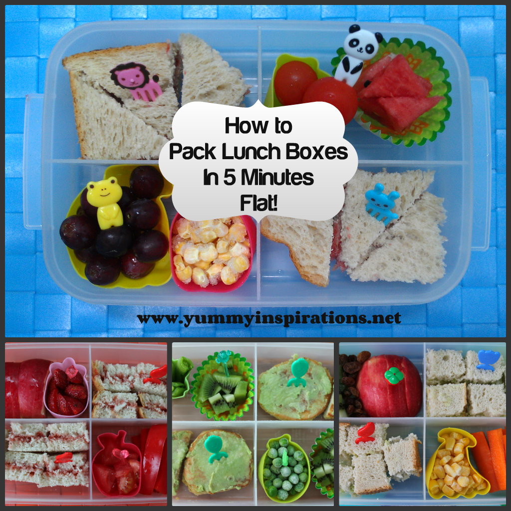 pack lunch box