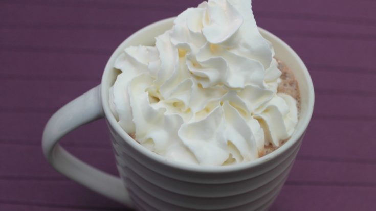 Low Carb Hot Chocolate Topped with whipped cream