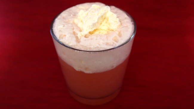 Glass of Kombucha Ice Cream Float