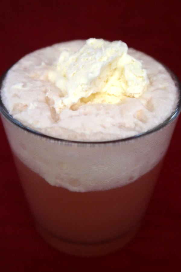 Kombucha Ice Cream Soda Float