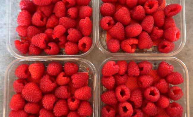 Raspberries for keto desserts