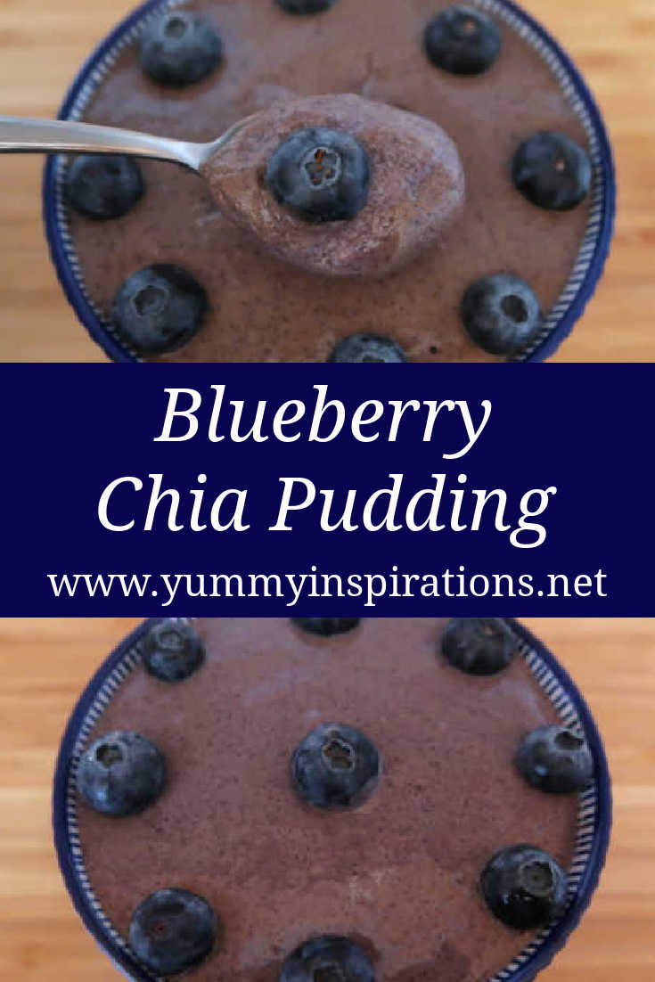 Blueberry Chia Seed Pudding Recipe - Easy Immune Boosting Low Carb, Keto & Sugar Free Dessert Recipes with lemon, blueberries, chia seeds and almond milk. With the video. 