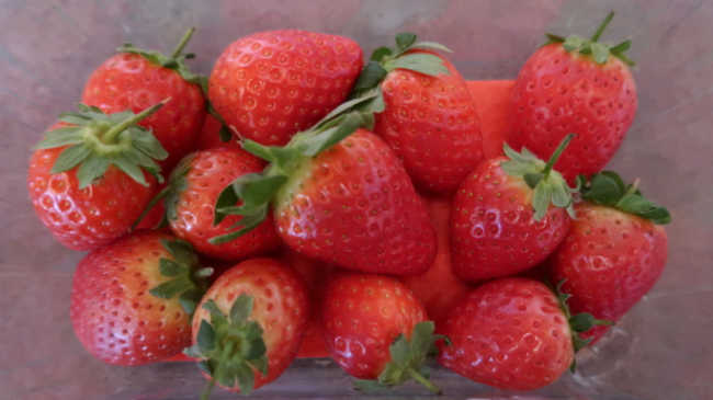 Bounty of Summer Berries in Strawberry Season