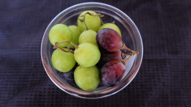 Healthy fresh summer snack of frozen grapes