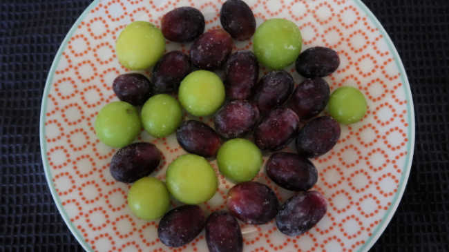 How to make frozen grapes – recipe ideas to freeze fruit
