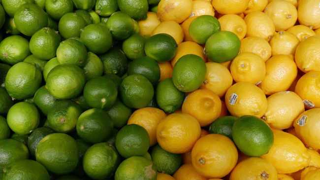 Selection of citrus fruits
