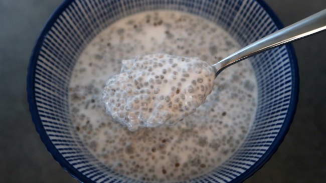 Keto Friendly Foods List - coconut milk chia pudding