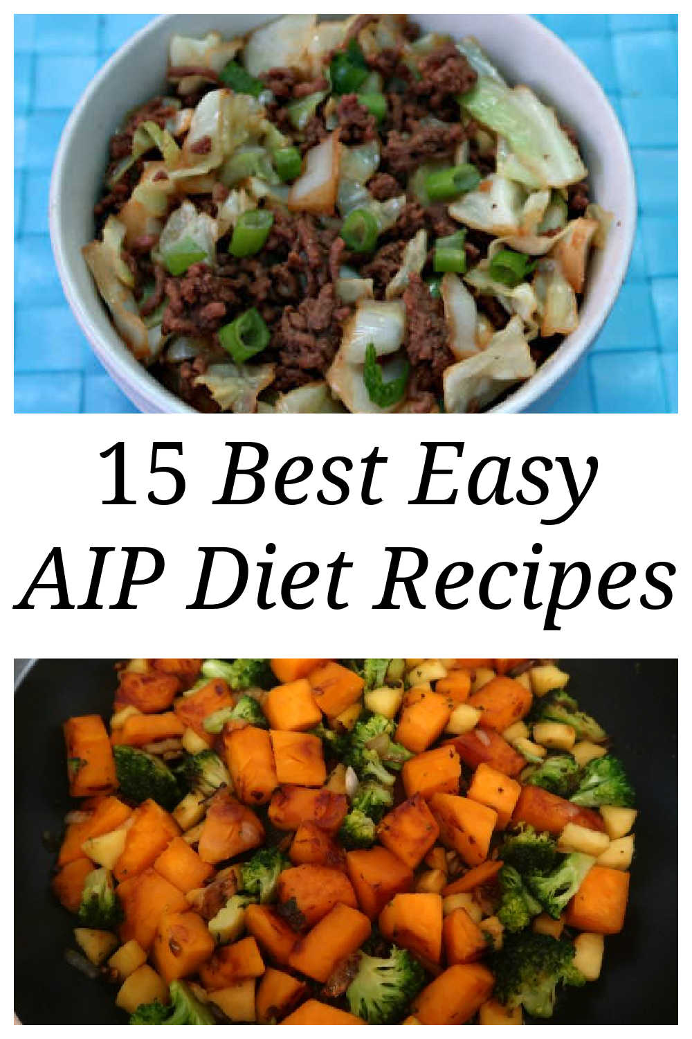 15 AIP Diet Recipes - The best easy autoimmune protocol diet and paleo friendly healing meals for breakfast, lunch and dinner.