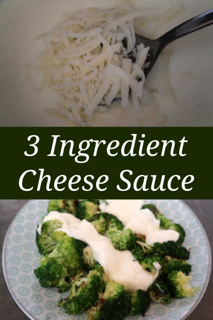 How To Make Cheese Sauce Without Flour Easy Recipe