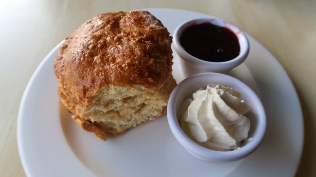 Homemade scones with jam and cream