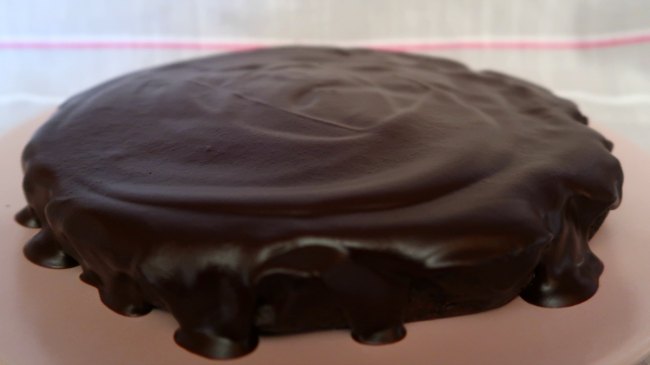 Coconut flour chocolate cake