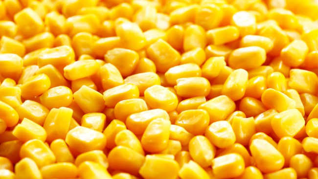 Canned corn